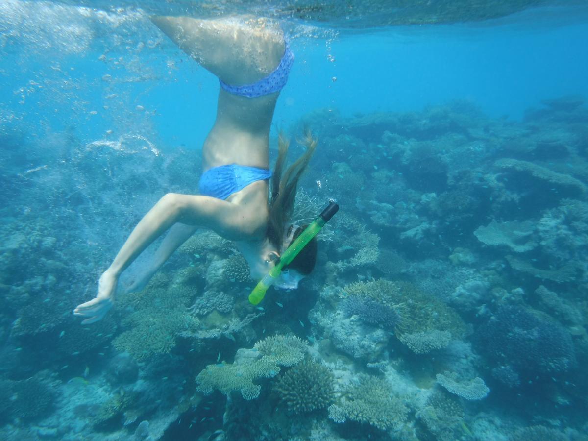 Surf Trip Maldives Thulusdhoo Exterior foto